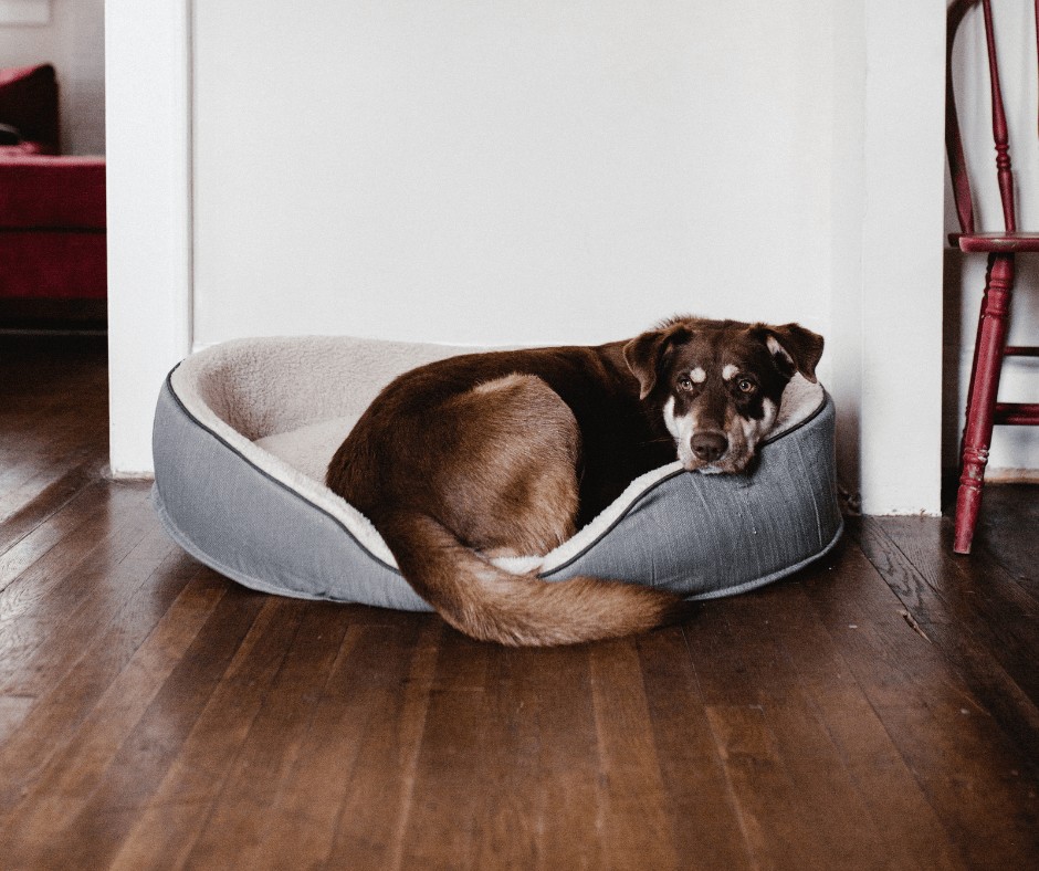 Hardwood Flooring | The Floor Store