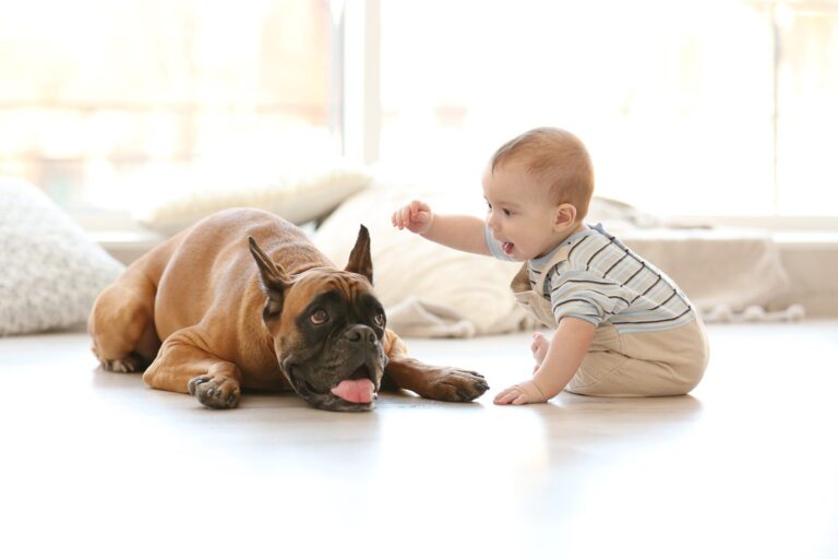 Pet-Friendly Tile: Stylish Choices That Can Handle the Mess